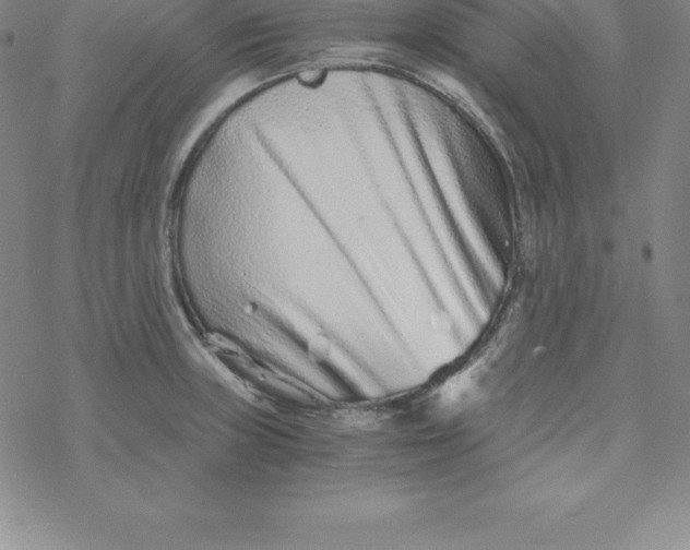 X0000069831235200606021328