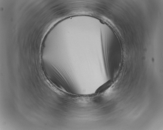 X0000069831236200606021328