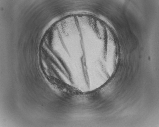 X0000069831237200606021328