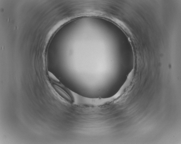 X0000069831238200606021328