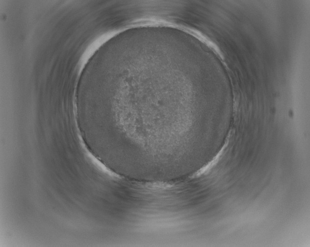 X0000069831239200606021328