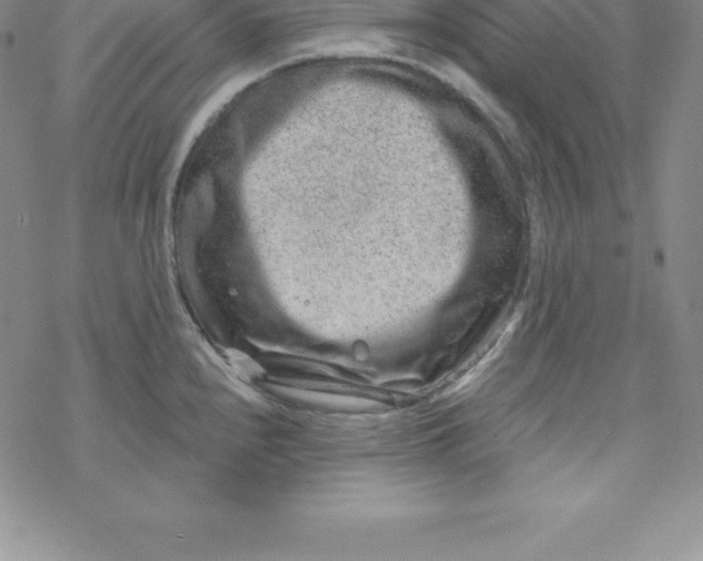 X0000069831240200606021328