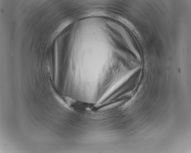 X0000069831241200606021328