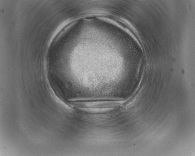 X0000069831243200606021328