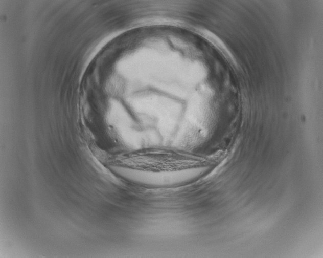 X0000069831244200606021328