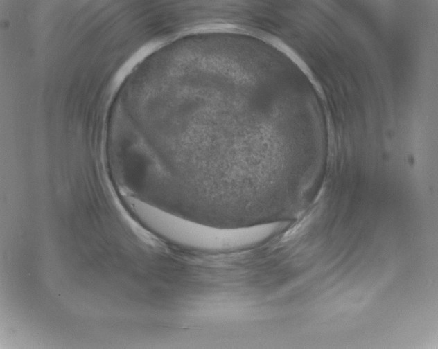 X0000069831245200606021328