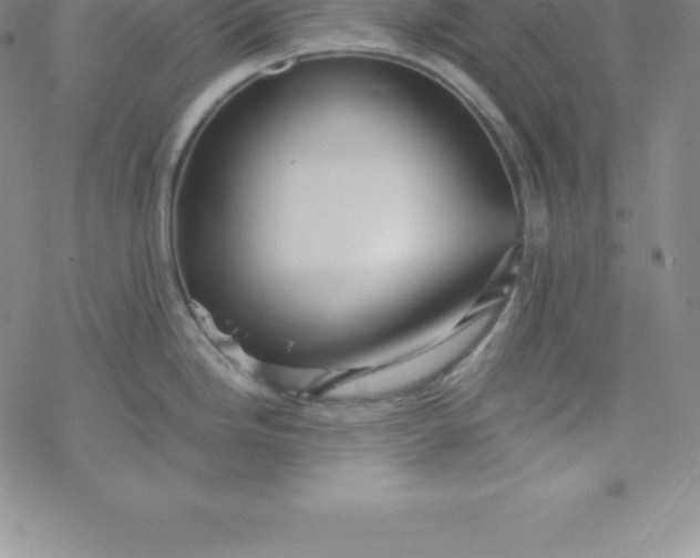 X0000069831246200606021328