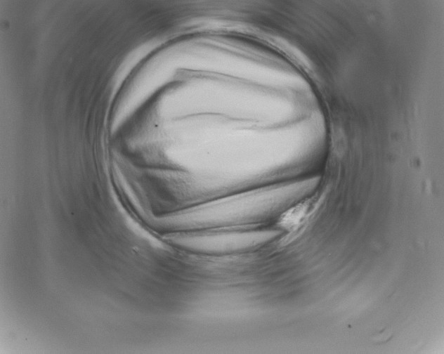 X0000069831247200606021328