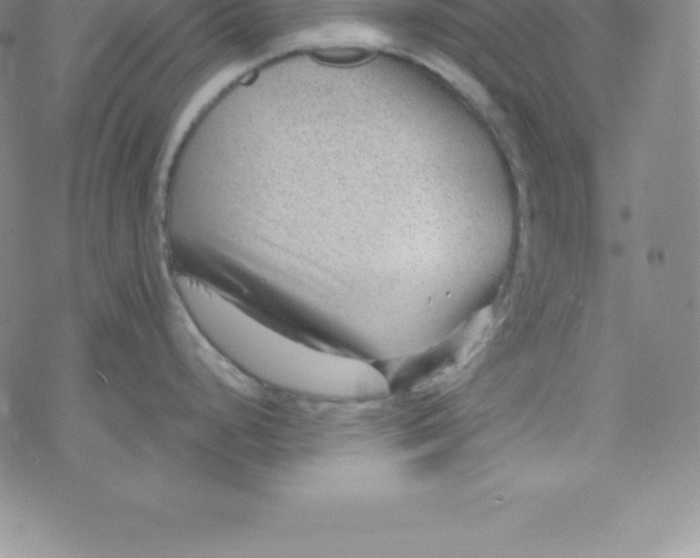 X0000069831248200606021328