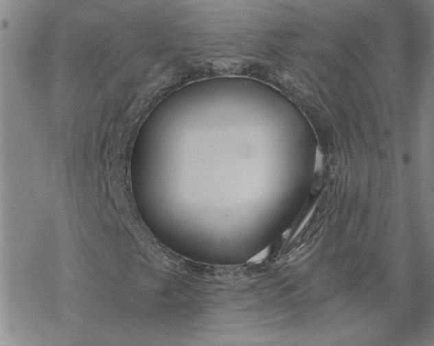 X0000069831249200606021328