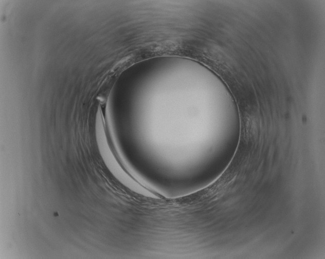 X0000069831250200606021328