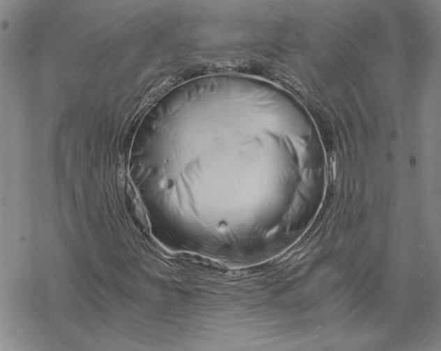 X0000069831251200606021328