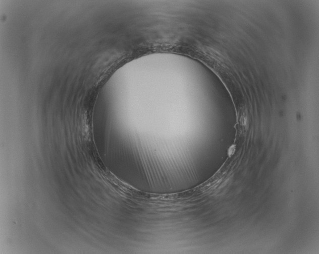 X0000069831252200606021328