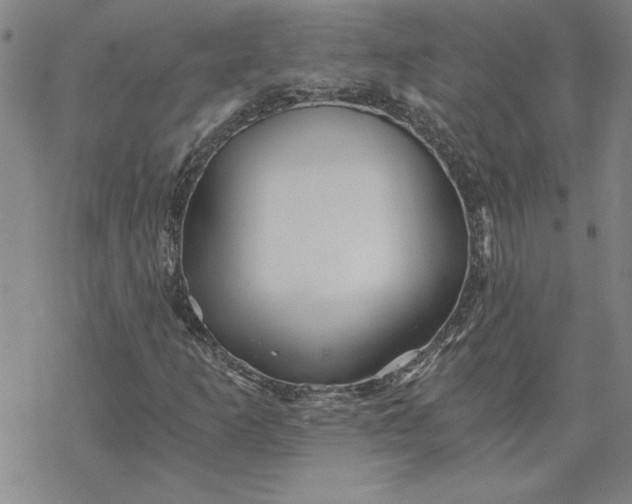 X0000069831253200606021328