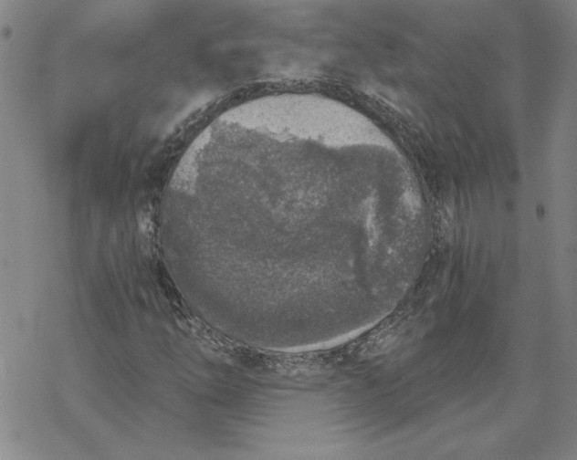 X0000069831254200606021328