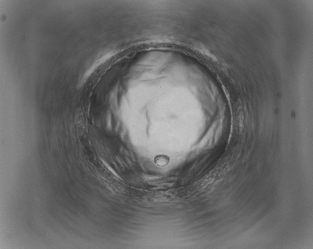 X0000069831255200606021328