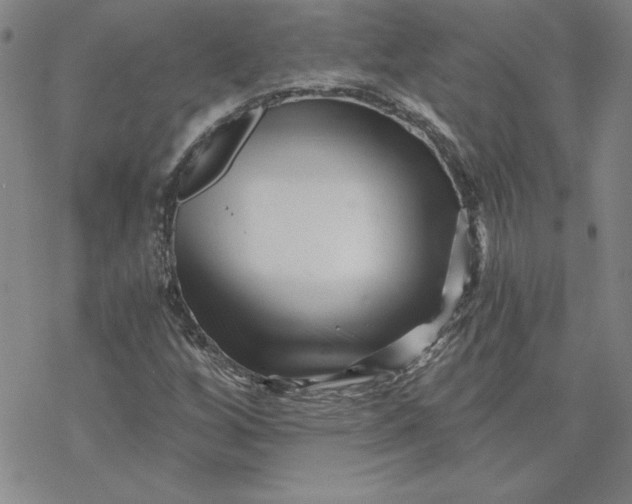 X0000069831256200606021328