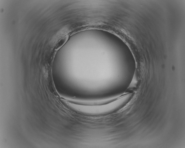 X0000069831257200606021328