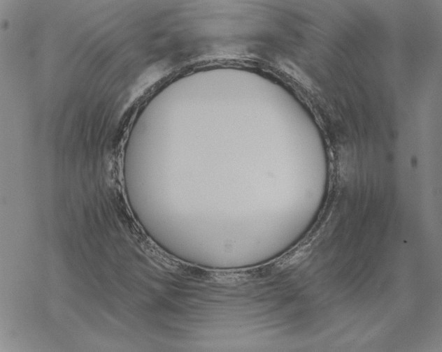 X0000069831258200606021328