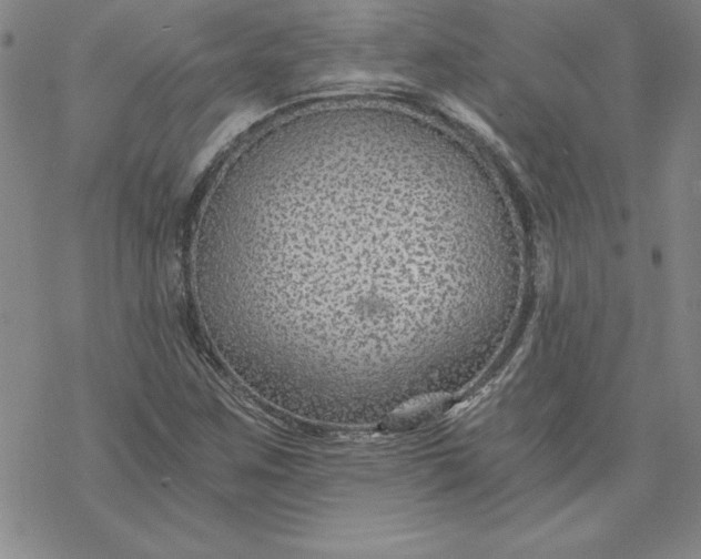 X0000069831259200606021327