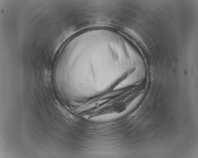 X0000069831260200606021327