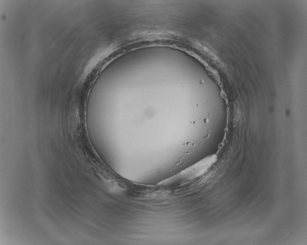 X0000069831261200606021327