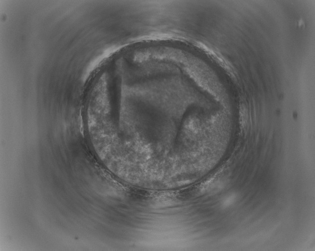 X0000069831262200606021327