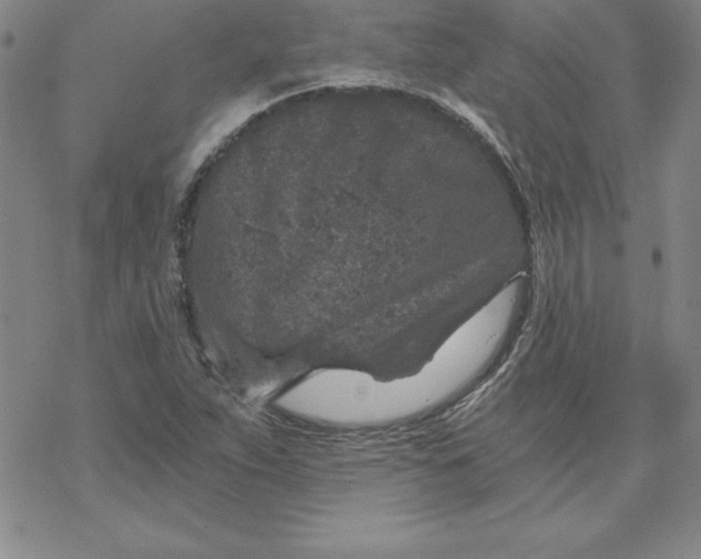 X0000069831263200606021327