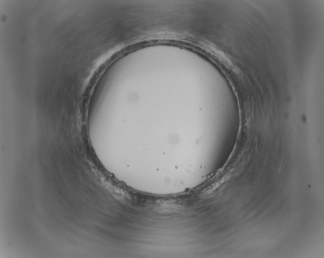 X0000069831264200606021327