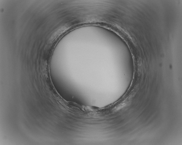 X0000069831265200606021327