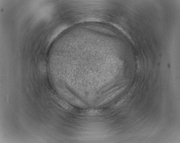 X0000069831266200606021327