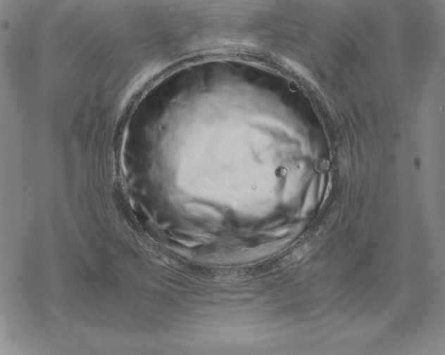 X0000069831267200606021327