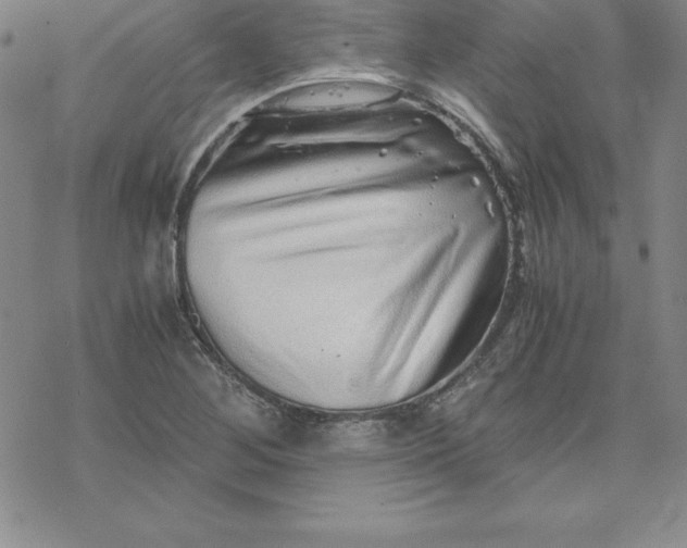 X0000069831268200606021327