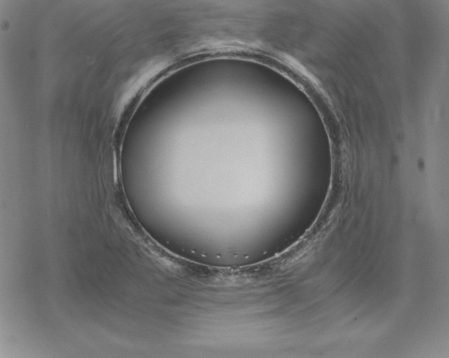 X0000069831269200606021327