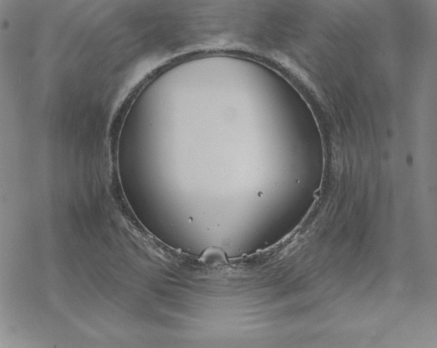 X0000069831270200606021327