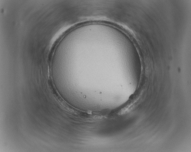 X0000069831271200606021327