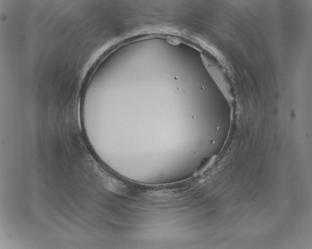 X0000069831272200606021327