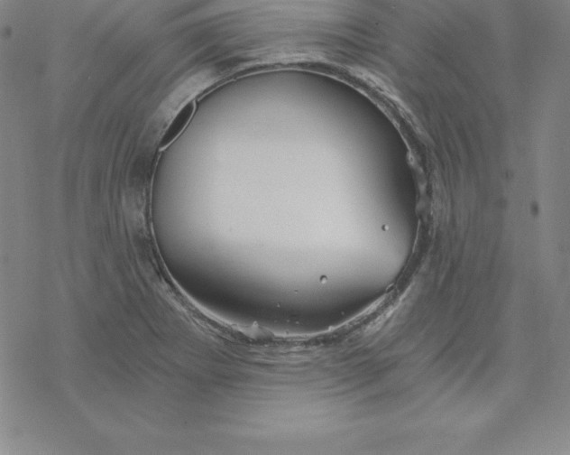 X0000069831273200606021327