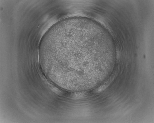 X0000069831274200606021327