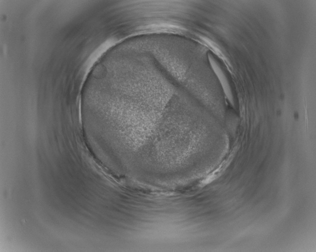 X0000069831275200606021327