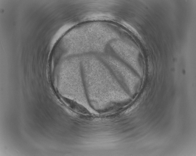 X0000069831277200606021327