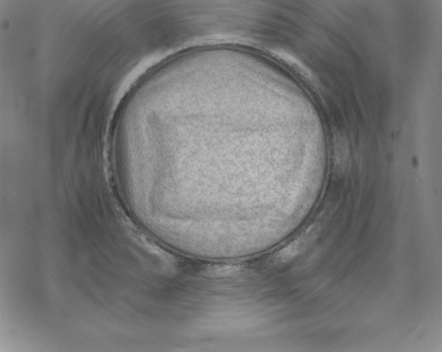 X0000069831278200606021327