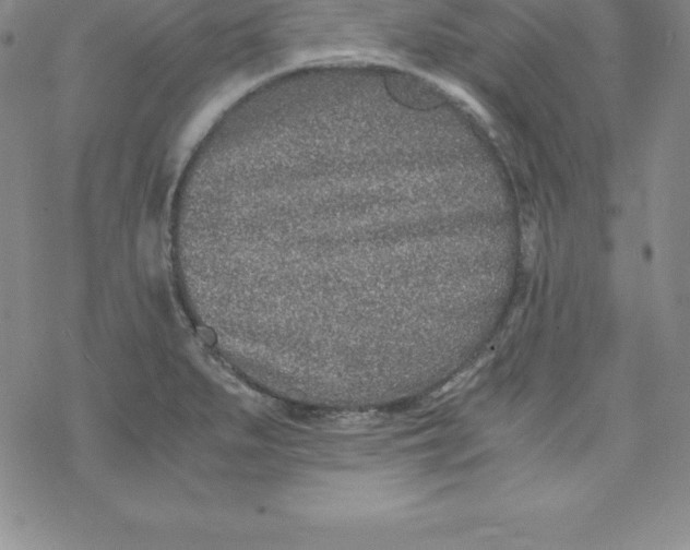 X0000069831279200606021327