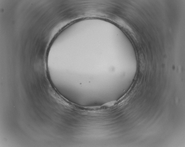 X0000069831280200606021327