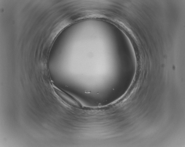 X0000069831281200606021327