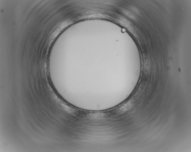 X0000069831282200606021327