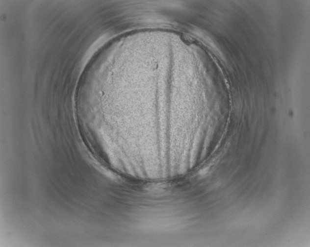 X0000069831283200606021327