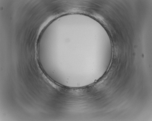 X0000069831286200606021327