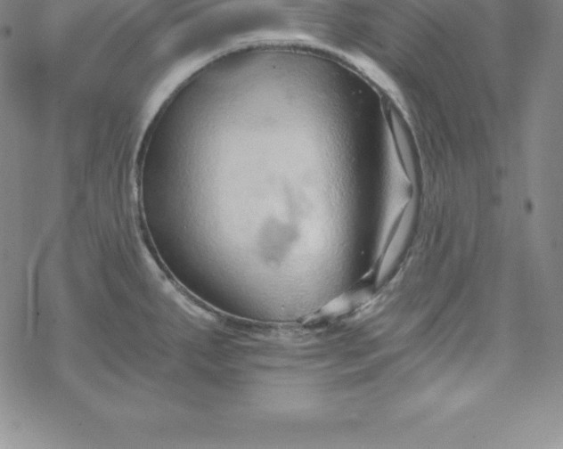 X0000069831287200606021327