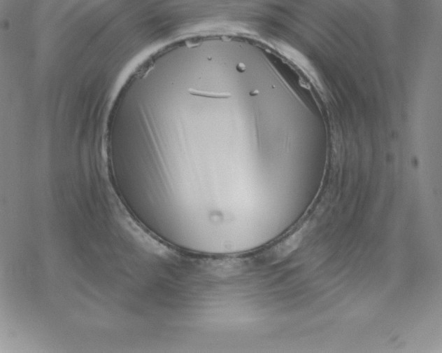 X0000069831288200606021327